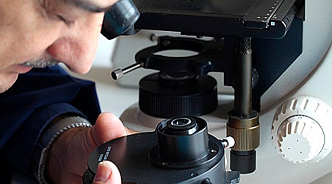 Assistência Tecnica Microscópio