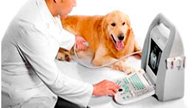 Assistência Tecnica Ultrassom Veterinário